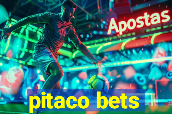 pitaco bets